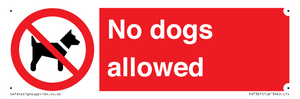 No dogs allowed